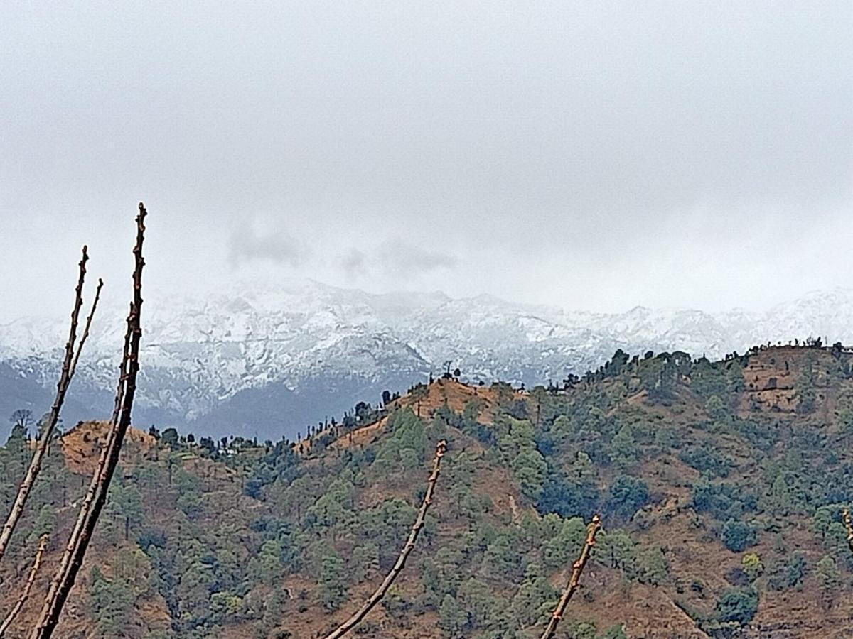 Shiva Valley Resort Kokhliyal Gaon Eksteriør bilde