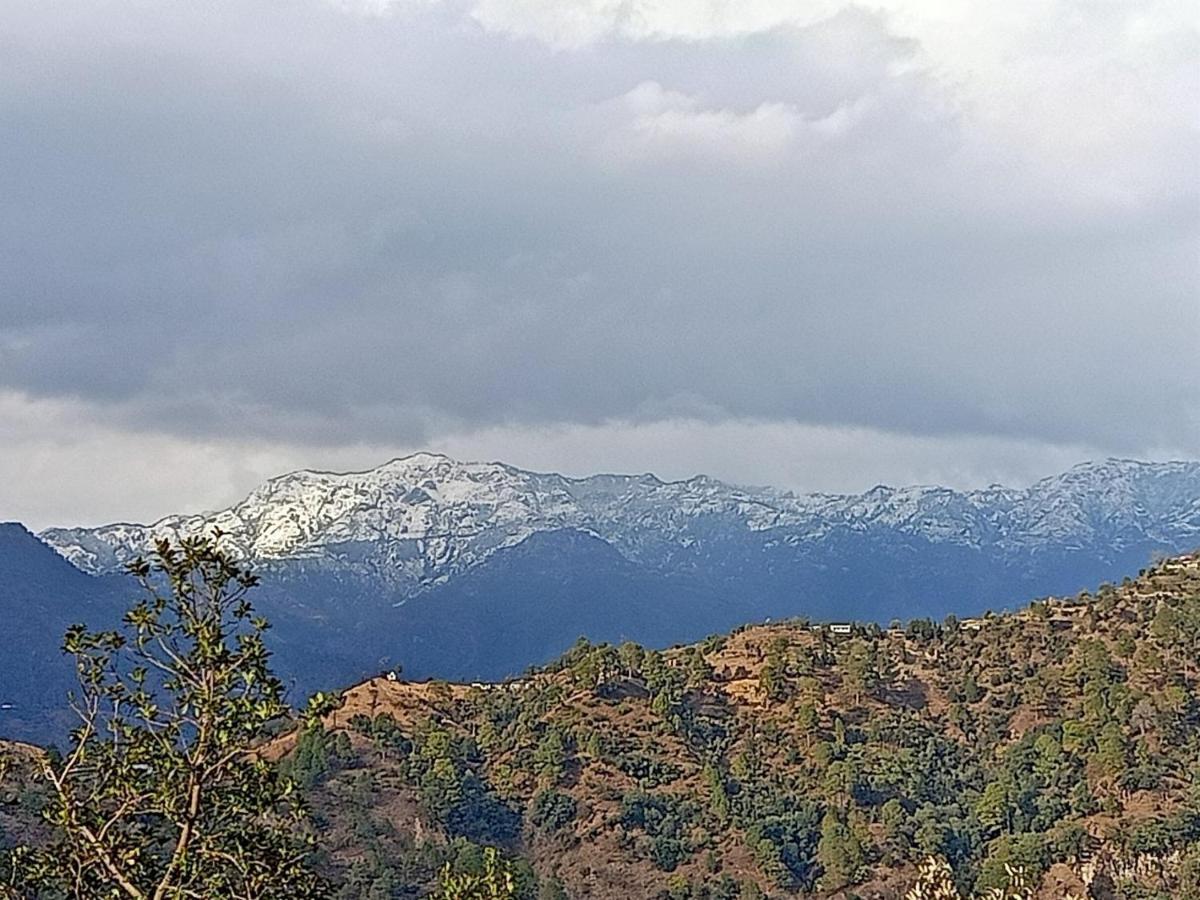 Shiva Valley Resort Kokhliyal Gaon Eksteriør bilde