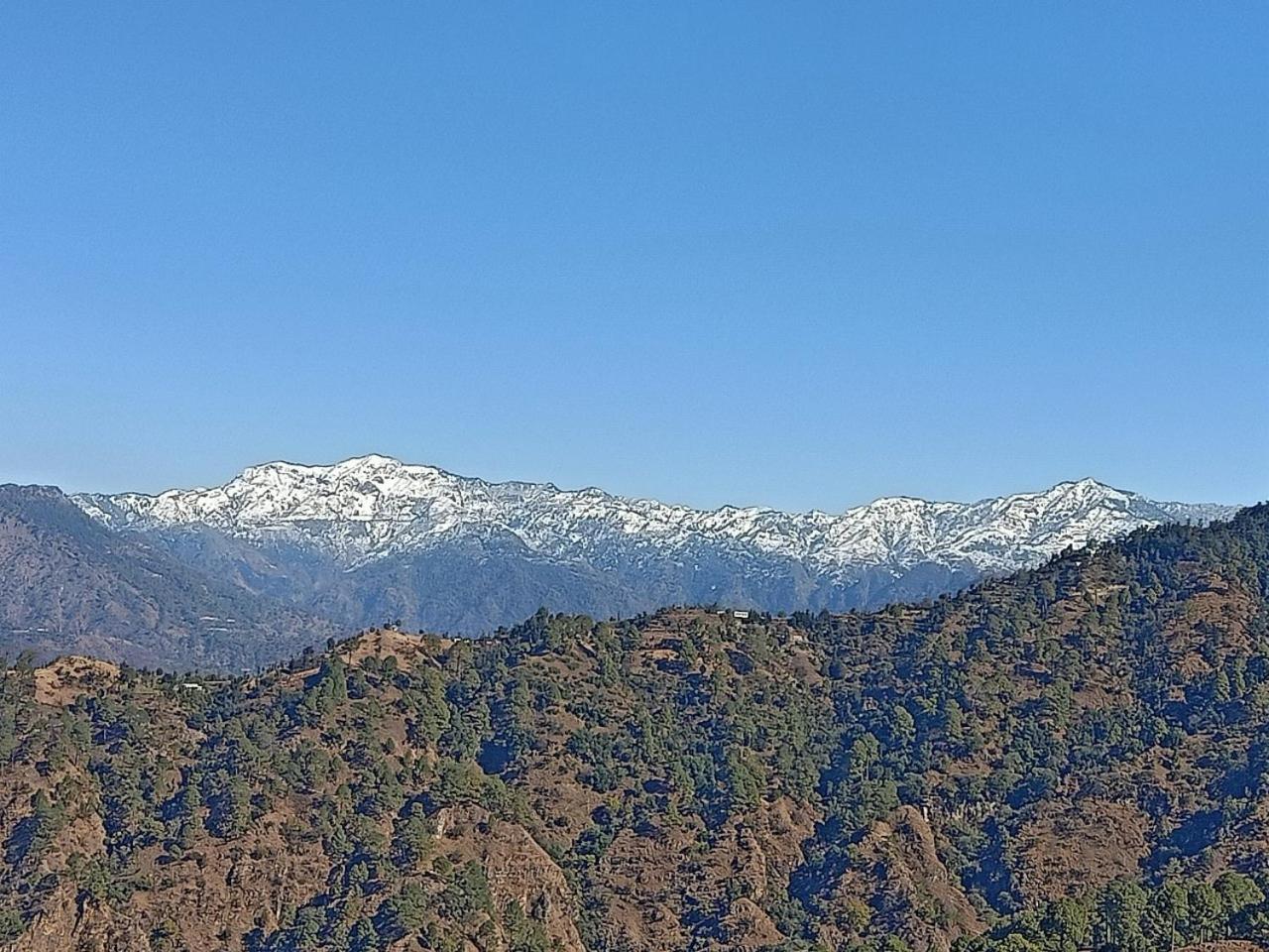 Shiva Valley Resort Kokhliyal Gaon Eksteriør bilde